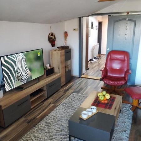 Apartment Viktor Bělehrad Exteriér fotografie