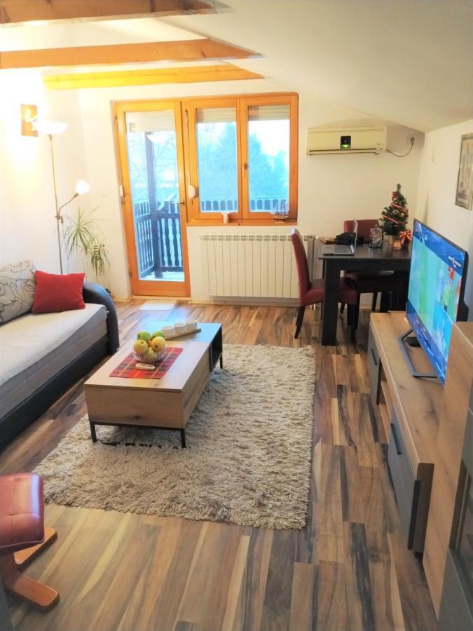 Apartment Viktor Bělehrad Exteriér fotografie