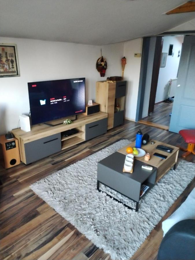 Apartment Viktor Bělehrad Exteriér fotografie